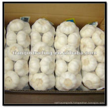 Pure White Garlic in Carton